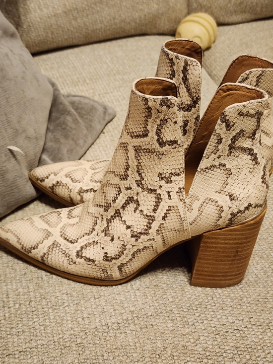 Steve Madden Shoes - Steve Madden Taupe Snake-Print Cutout Ankle Boots